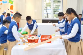 Giáo dục STEM giúp nâng cao phẩm chất, năng lực học sinh tiểu học