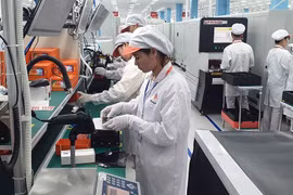 Sẽ có 5 cuộc điều tra cơ sở kinh tế, hành chính, sự nghiệp và tài khoản quốc gia