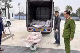 Hà Nội: Tạm giữ 700 kg nầm lợn không rõ nguồn gốc xuất xứ