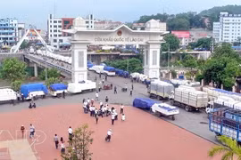 Trung Quốc đề nghị cùng khôi phục hoạt động cửa khẩu quốc tế Lào Cai