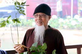 Sâm Ngọc Linh: Từ cây thuốc giấu thành Quốc bảo Việt Nam
