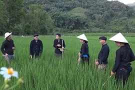 Bắc Kạn bảo tồn và phát huy giá trị di sản hát Lượn cọi