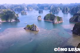 Say đắm trước vẻ đẹp của vịnh Lan Hạ