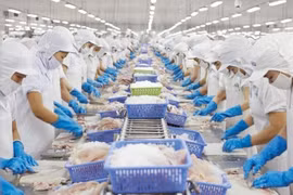 Dragon Capital bán ra gần 98.000 cổ phiếu Vĩnh Hoàn (VHC)