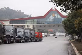 Khôi phục hoạt động xuất nhập khẩu, xuất nhập cảnh ở Cửa khẩu Hữu Nghị