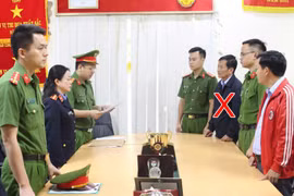 Chỉ đạo mua hoá đơn ghi khống nội dung, Tổng Giám đốc Công ty Cao su Sơn La bị khởi tố
