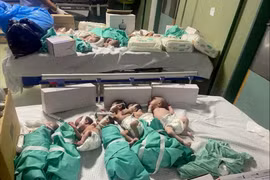 Những đứa trẻ sinh non gặp nguy hiểm tại bệnh viện ở Gaza