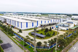 Thị trường đất nền đón sóng phục hồi những tháng cuối năm