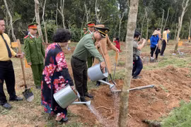 Lễ phát động "Tết trồng cây nhớ ơn Bác Hồ" tại Đền Chung Sơn: Gieo mầm xanh, gặt hy vọng