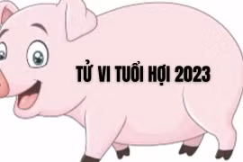 Tử vi tuổi Hợi 2023: Đón nhiều may mắn