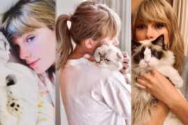 Mèo của Taylor Swift là thú cưng giá trị thứ ba trên thế giới