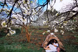 Du lịch nông nghiệp mang lại nhiều lợi ích cho người dân các vùng nông thôn
