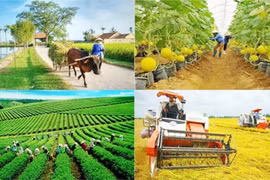 Thực hiện kiểm tra, giám sát thực hiện các chương trình mục tiêu quốc gia tại 3 Vùng