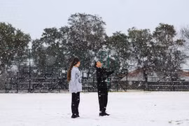 Người dân Johannesburg sửng sốt vì tuyết rơi sau một thập kỷ