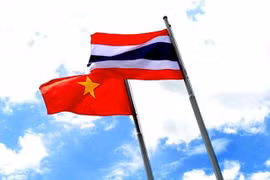 Chủ tịch nước phê chuẩn Hiệp định tương trợ tư pháp trong lĩnh vực dân sự giữa Việt Nam và Thái Lan