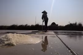 Đẹp mê hồn cảnh vựa muối lớn nhất miền Bắc tất bật vào mùa thu hoạch