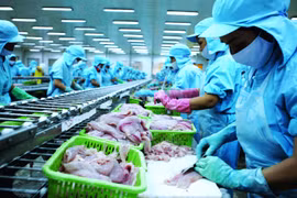 Ngành thủy sản Việt Nam: Kỳ vọng thêm nhiều sự tiếp sức để vượt qua “nốt trầm”