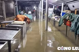 Mưa lớn, kèm dông lốc khiến 3 người mất tích ở Quảng Trị