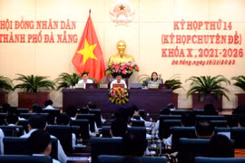 Đà Nẵng chuyển mục đích gần 80 ha đất rừng trồng để triển khai các dự án