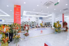 Vimedimex nói gì về vụ sai phạm trong đấu giá đất tại huyện Đông Anh?