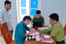 Xử phạt đối tượng chặt phá rừng tự nhiên để trồng keo ở Hà Tĩnh