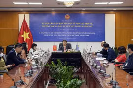 Thiết thực kỷ niệm 30 năm thiết lập quan hệ ngoại giao Việt Nam-Uruguay