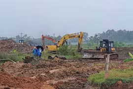 Giải quyết triệt để tranh chấp về đất đai từ cơ sở, tránh vượt cấp lên Trung ương