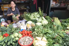 Hà Nội: Nguồn cung thiếu hụt, giá rau xanh rục rịch tăng trở lại