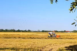 Huyện Vĩnh Lợi, tỉnh Bạc Liêu: Tạo nền tảng vững chắc để phát triển kinh tế - xã hội