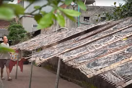 Bánh đa làng Kế: Thức quà tuổi thơ
