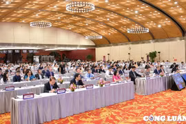 Cấp bách khôi phục các động lực tăng trưởng hiện hữu và tìm kiếm các động lực mới