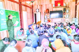 Ban Quản lý rừng phòng hộ Tây Giang giữ rừng để nâng mức sống cho đồng bào
