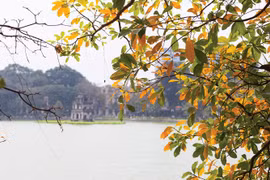 Mùa thu và tình yêu đôi lứa