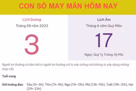 Con số may mắn hôm nay 3/8/2023 thứ 5, ngày 17/6 âm lịch