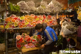 Hà Nội: Giá hoa tươi tăng đột biến đúng ngày Quốc tế Phụ nữ