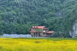 Ninh Bình: Có hơn 100 cơ sở kinh doanh dịch vụ lưu trú không phép tại vùng Di sản Tràng An