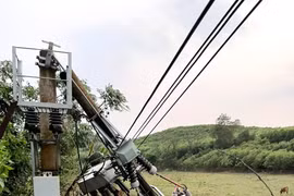 Mưa lớn, lốc xoáy làm sập và tốc mái 81 ngôi nhà, 1 người bị thương