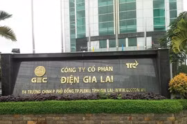 Áp lực lãi vay tăng mạnh hàng chục tỷ đồng, lợi nhuận quý I của Điện Gia Lai (GEG) giảm tới 40%