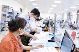 Phó Thủ tướng Trần Lưu Quang yêu cầu tổ chức thanh tra, kiểm tra công vụ