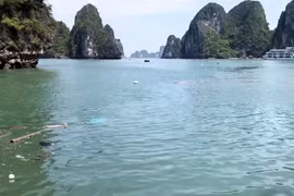 Bao giờ hết rác trên Vịnh Hạ Long?