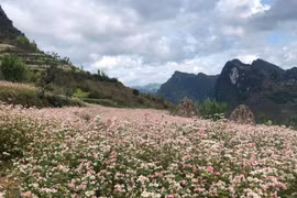 Hà Giang tăng tốc phát triển du lịch bền vững