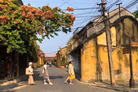 Nhiều khách Việt đi du lịch để 'tìm người yêu, quên tình cũ'