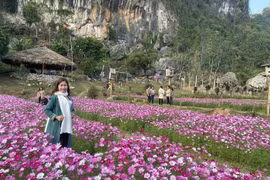 Bắc Kạn quảng bá du lịch theo xu hướng check-in