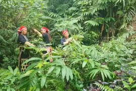 Phát hiện nhiều sai sót tại các công trình do đơn vị thuộc Sở Nông nghiệp và PTNT Lào Cai làm chủ đầu tư