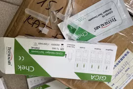 Truy tố bị can lừa bán kit test COVID-19, chiếm đoạt hàng trăm triệu đồng để đầu tư vào tiền ảo
