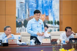 Cần làm rõ trách nhiệm việc ban hành giá FiT có đúng nguyên tắc và tiêu chí hay không