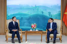 Việt Nam mong muốn phát triển ngành công nghiệp bán dẫn bằng "đi tắt đón đầu" để "đi sau về trước"