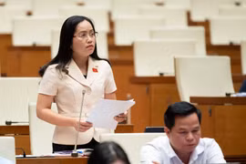 Rà soát kỹ để đảm bảo thống nhất, đồng bộ giữa Luật Đất đai với Luật Bảo vệ môi trường và Luật Lâm nghiệp