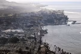 Cháy rừng ở Hawaii bắt đầu như thế nào và đã hủy diệt những gì?