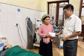 Hà Giang: Ăn nấm dại, 2 bố con nhập viện cấp cứu